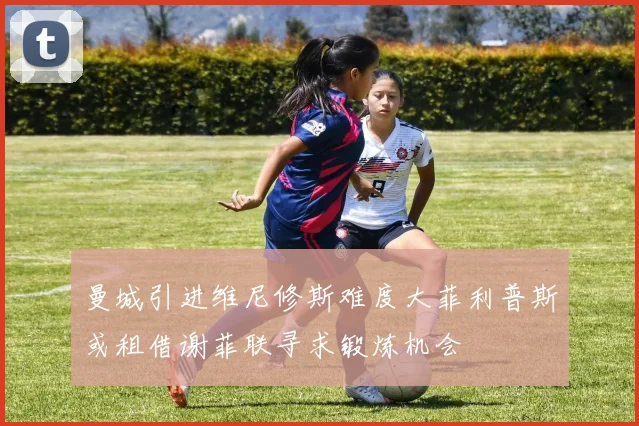 曼城引进维尼修斯难度大菲利普斯或租借谢菲联寻求锻炼机会