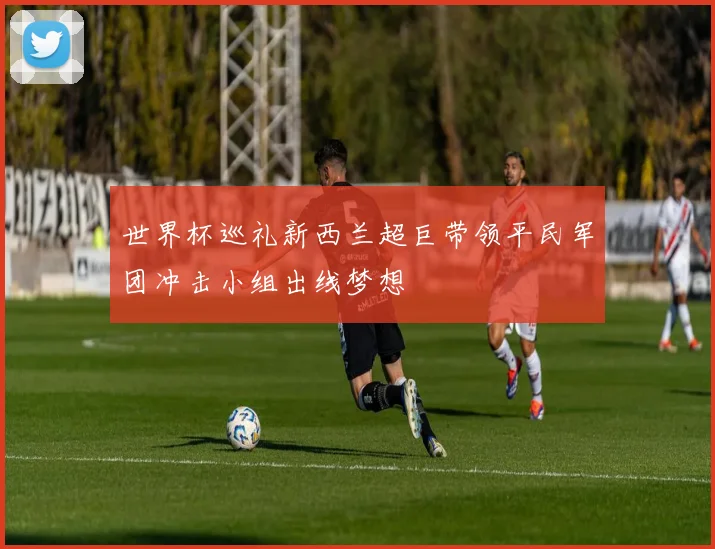 世界杯巡礼新西兰超巨带领平民军团冲击小组出线梦想