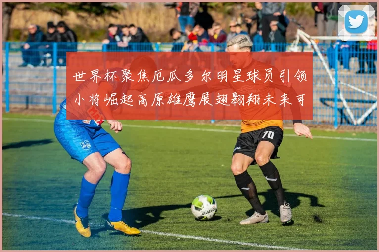 世界杯聚焦厄瓜多尔明星球员引领小将崛起高原雄鹰展翅翱翔未来可期
